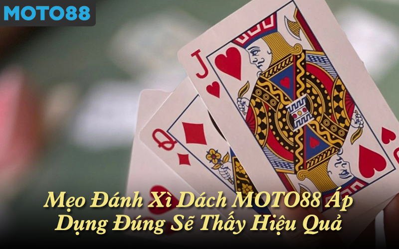 Mẹo Đánh Xì Dách MOTO88 Áp Dụng Đúng Sẽ Thấy Hiệu Quả