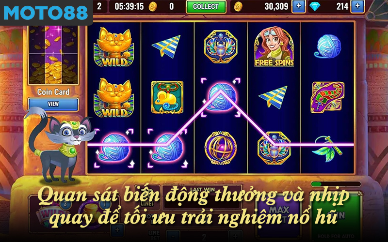 Quan sát biến động thưởng và nhịp quay để tối ưu trải nghiệm nổ hũ MOTO88