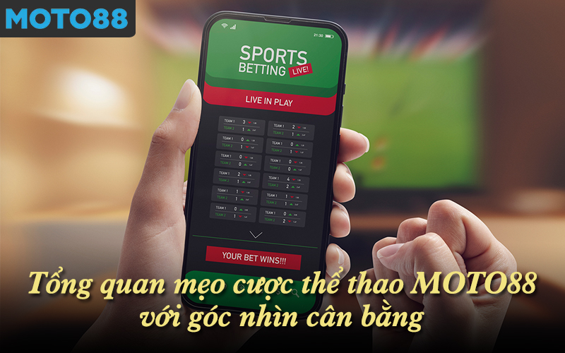 Tổng quan mẹo cược thể thao MOTO88 với góc nhìn cân bằng