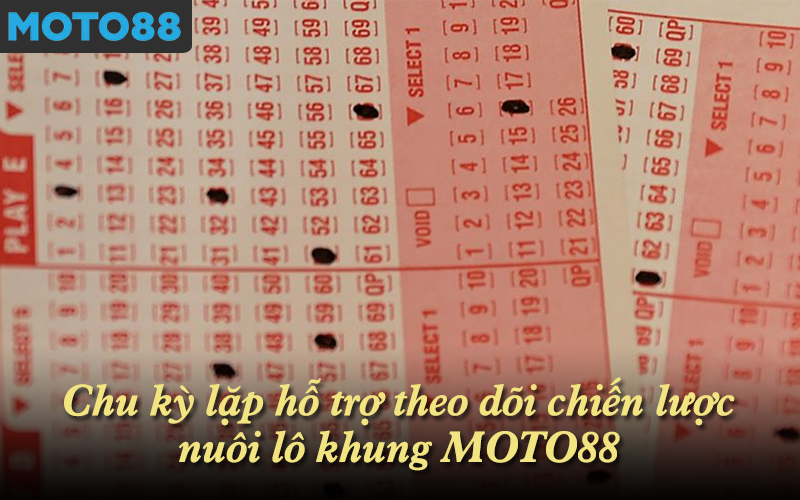 Chu kỳ lặp hỗ trợ theo dõi chiến lược nuôi lô khung MOTO88