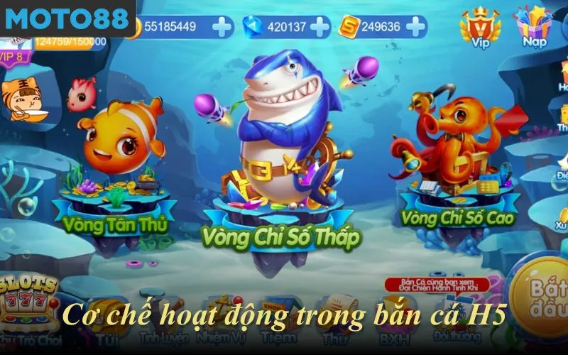 Cơ chế hoạt động trong bắn cá H5