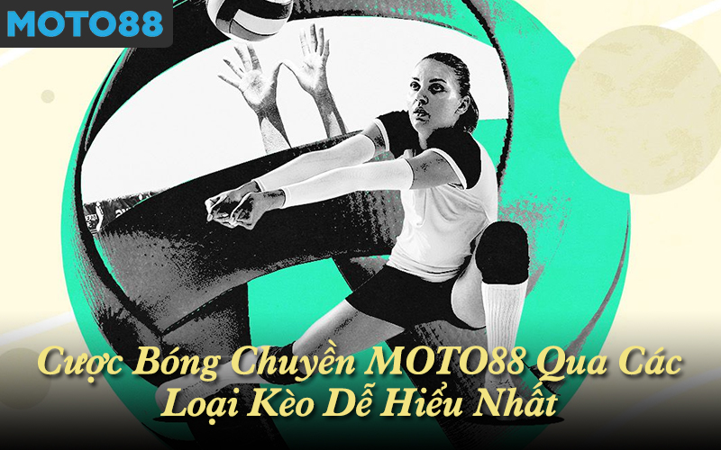 Cược bóng chuyền MOTO88