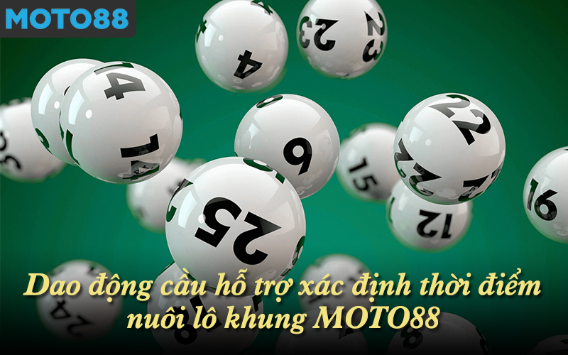 Dao động cầu hỗ trợ xác định thời điểm nuôi lô khung MOTO88