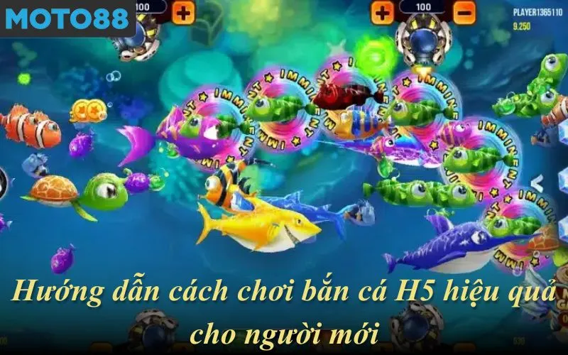 Hướng dẫn cách chơi bắn cá H5 hiệu quả cho người mới