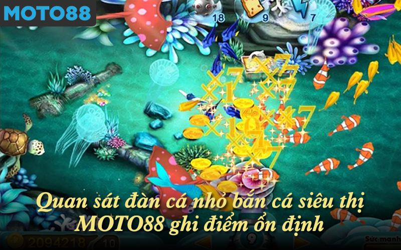 Quan sát đàn cá nhỏ bắn cá siêu thị MOTO88 ghi điểm ổn định