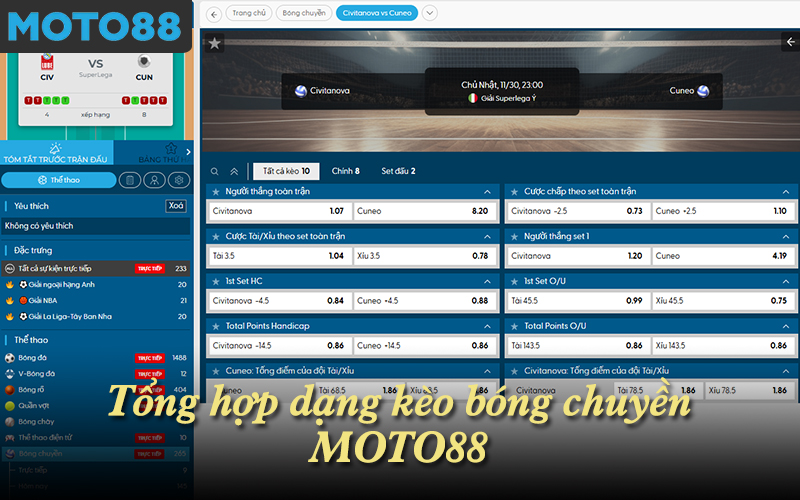 Tổng hợp dạng kèo bóng chuyền MOTO88